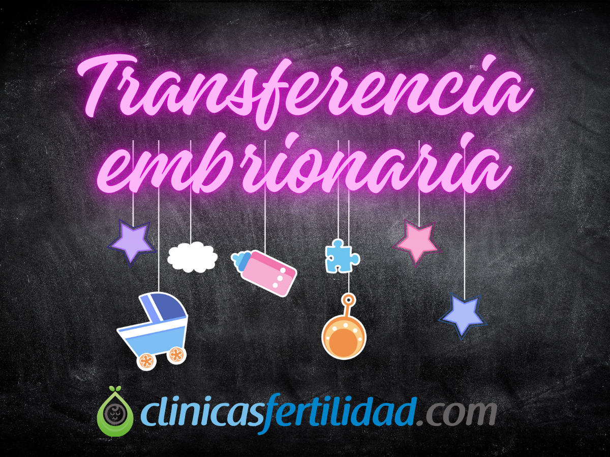 Cuidados después de una transferencia embrionaria